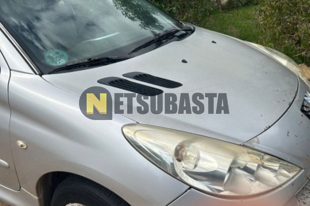 Peugeot 206 + 1.1 2010