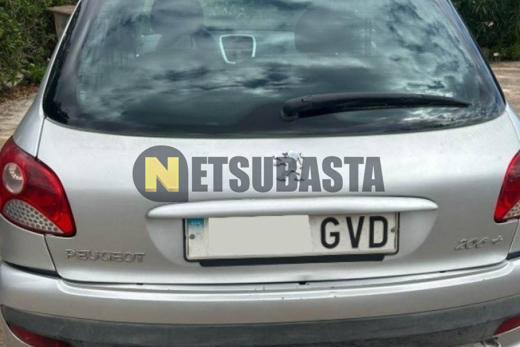 Peugeot 206 + 1.1 2010