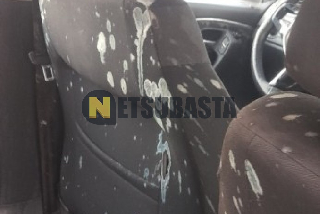 Volkswagen Polo 1.2 TSI 2014