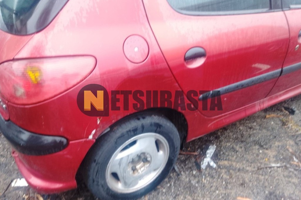 Peugeot 206 1.9 D 1999
