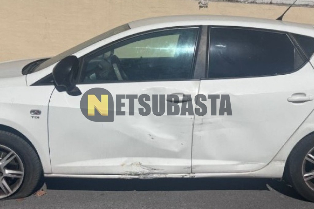 Seat Ibiza 1.9 TDI DPF 2009