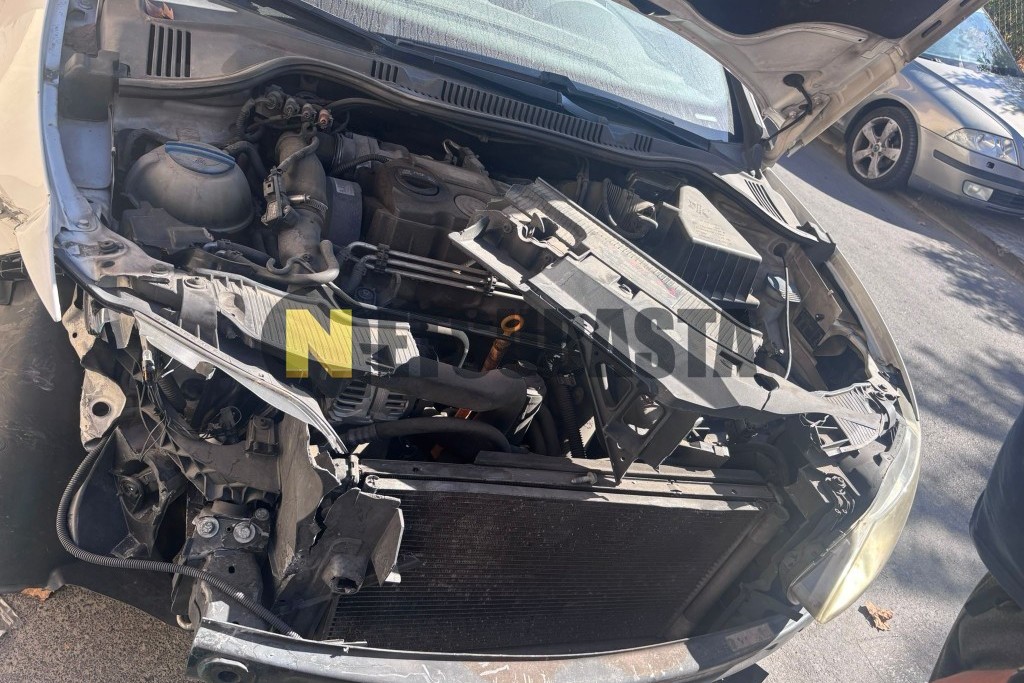 Seat Ibiza 1.9 TDI DPF 2009