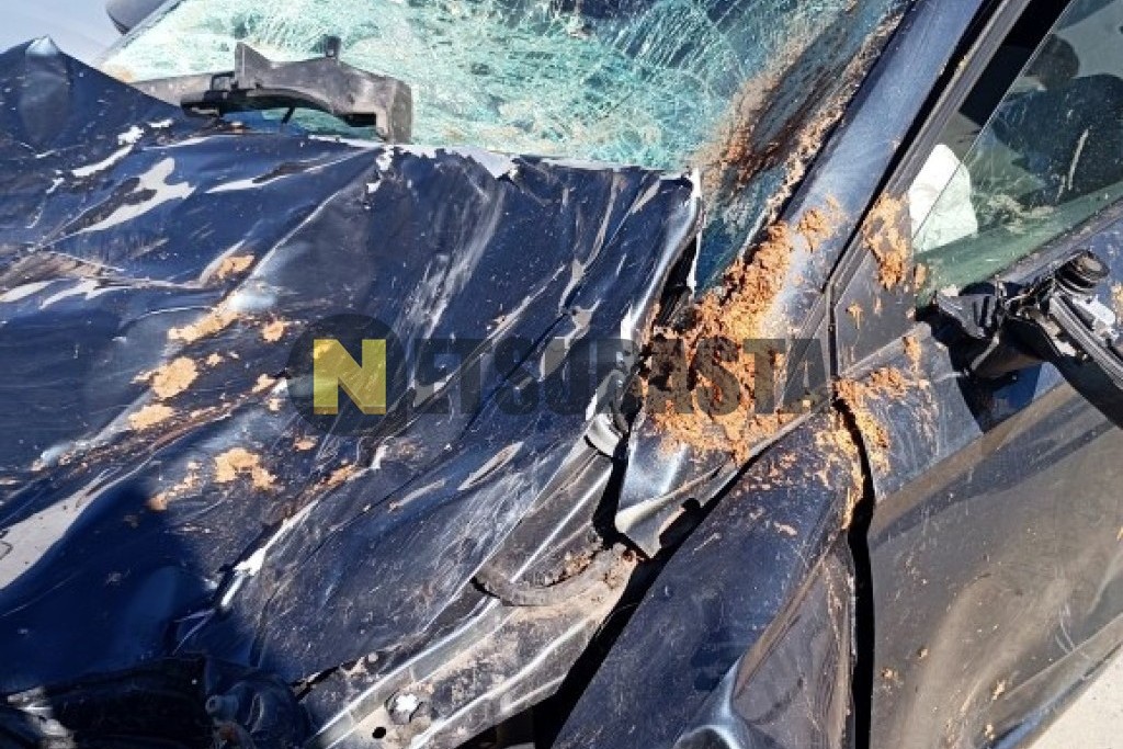 Seat Ibiza 1.0 TSI 2018