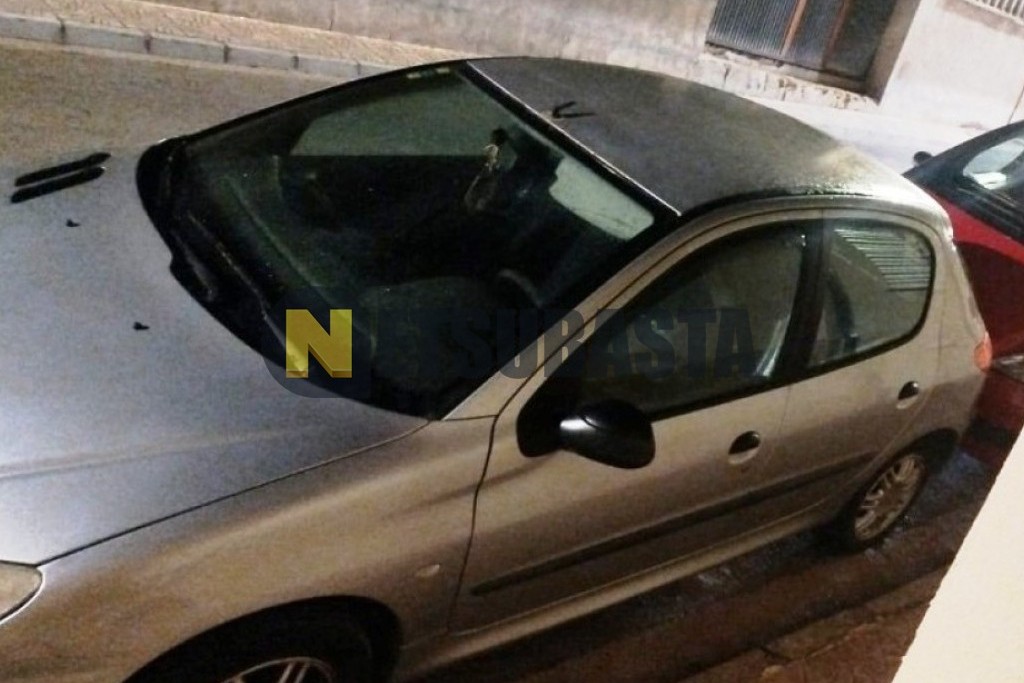 Peugeot 206 1.9 D 2000