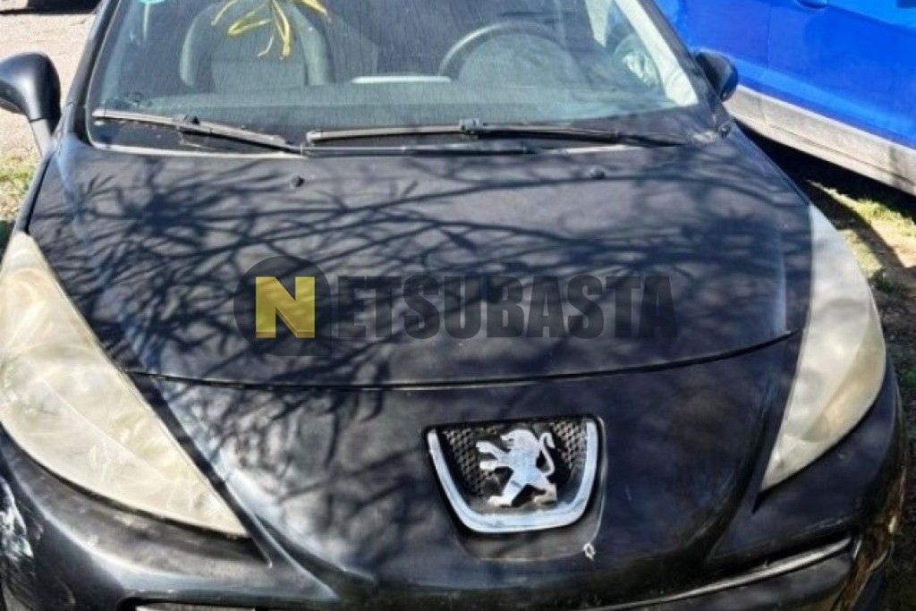 Peugeot 207 1.4i 2010