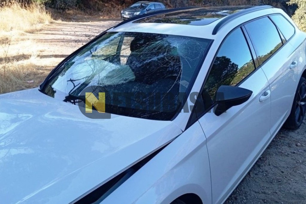 Seat León ST 2.0 TDI CR 2020