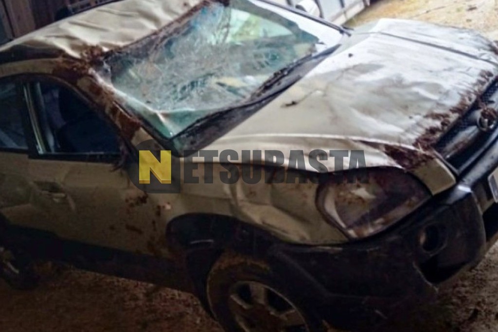 Hyundai Tucson 2.0 CRDi 4x4 2006