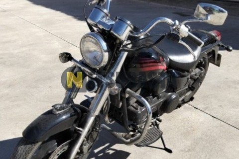 Yamaha XV 250 Virago 1999