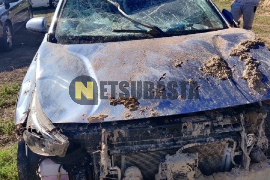 Kia Niro 1.6 HEV 2021