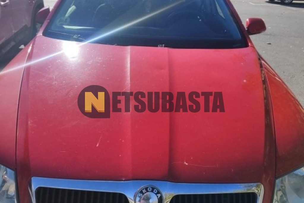 Skoda Octavia 2.0 TDI DSG 2006