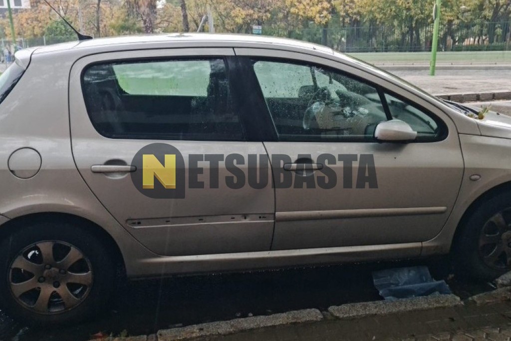 Peugeot 307 1.6 2003