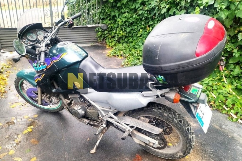 Kawasaki KLE 500 1993