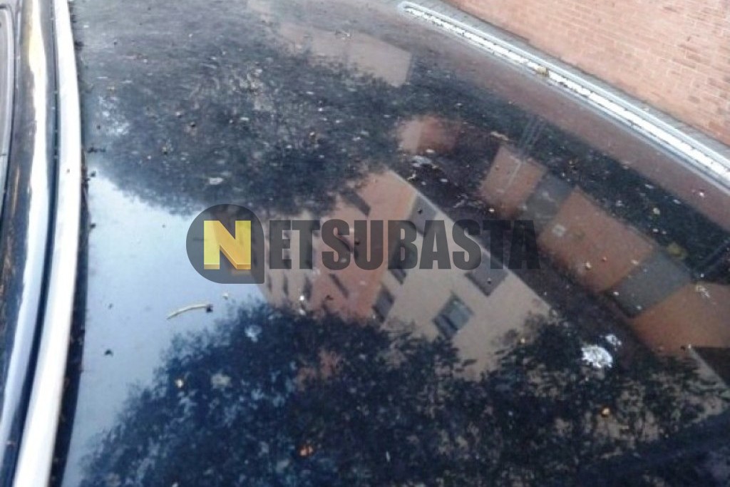 Opel Signum 2.2 DTI 16V 2003