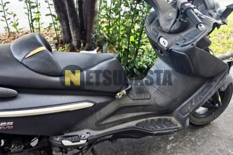 Yamaha XVS 250 Drag Star 2001