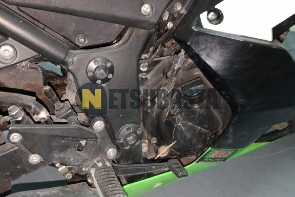 Kawasaki NINJA 250 R 2009