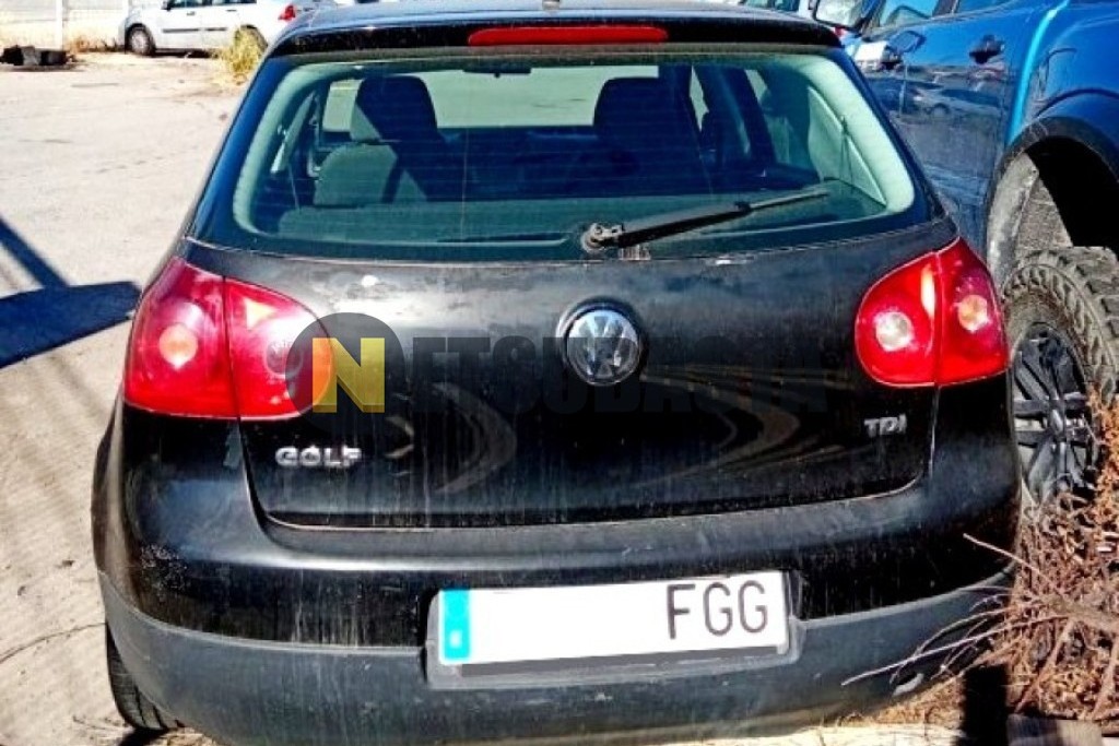 Volkswagen Golf 1.9 TDI 2006