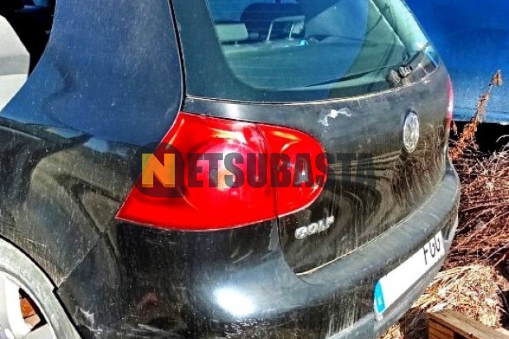 Volkswagen Golf 1.9 TDI 2006