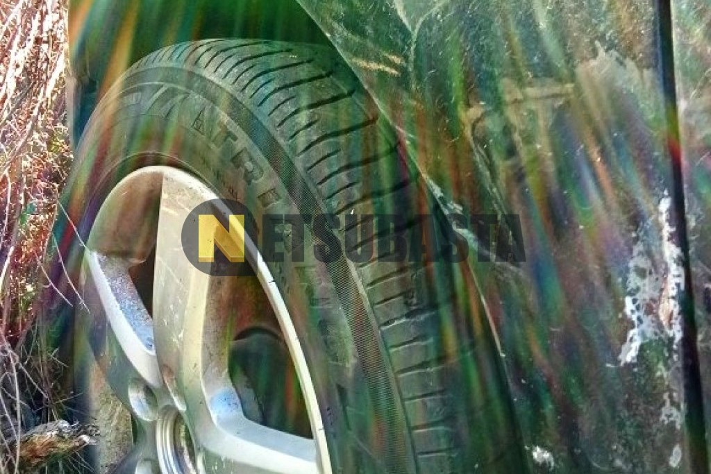 Volkswagen Golf 1.9 TDI 2006