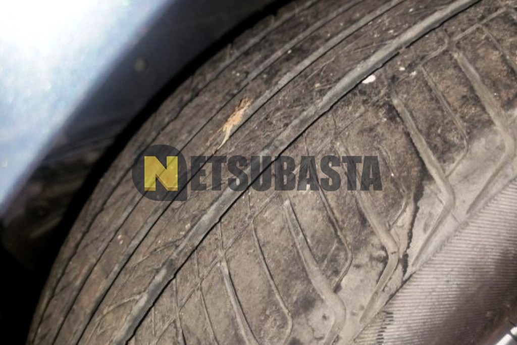 Peugeot 307 SW 2.0 HDi FAP 2006