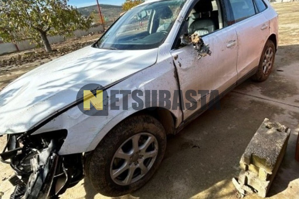 Audi Q5 2.0 TDI quattro S tronic 7 vel. DPF 2009