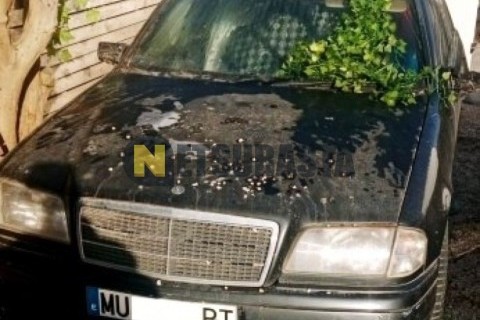 Yamaha YZF 600 R Thundercat 1999