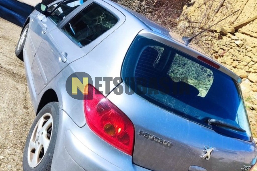 Peugeot 307 1.6 HDi 2005