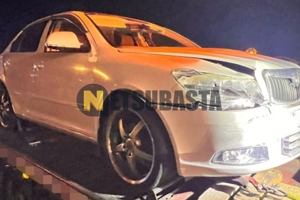 Skoda Octavia 2.0 TDI CR DSG 2011