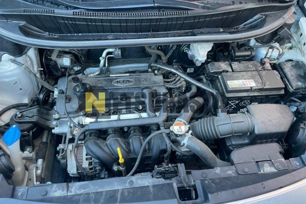 Kia Rio 1.2 CVVT 2016