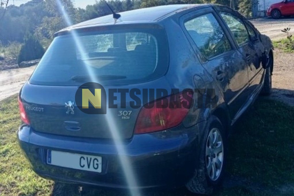 Peugeot 307 2.0 HDi 2004
