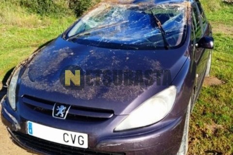 Silence SILENCE S01 L3E 2021