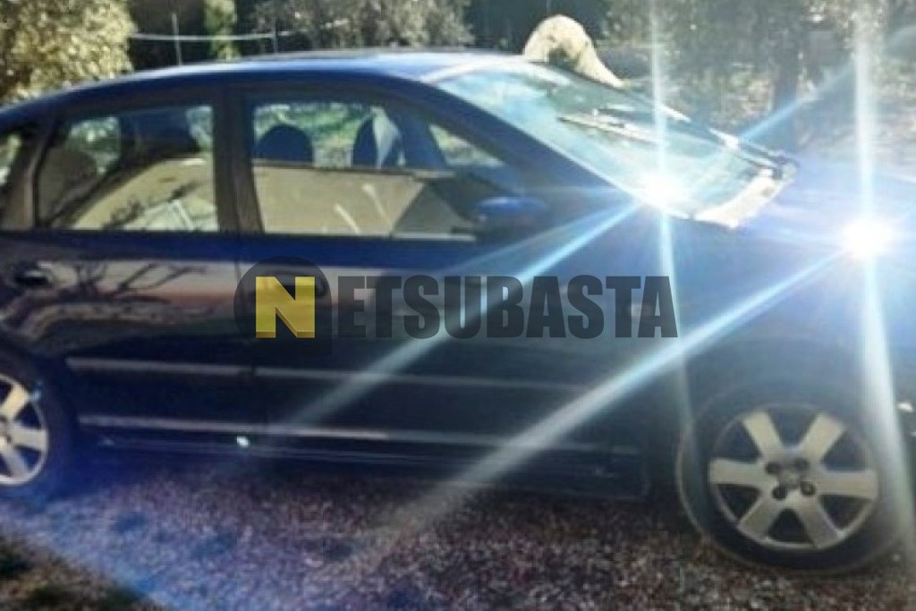 Honda Civic 1.6 VTEC 2004