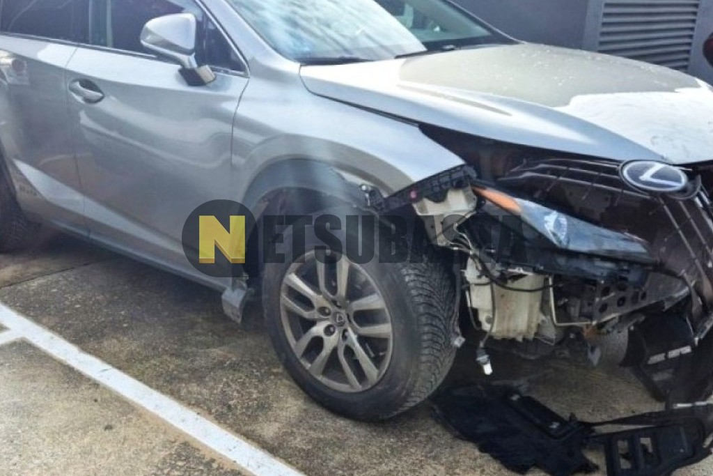 Lexus NX 300h 4WD 2020