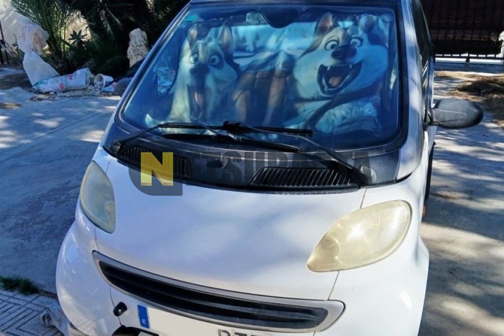 Smart fortwo 0.8 cdi 2002