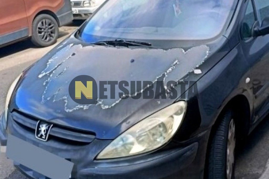 Peugeot 307 1.4 HDi 2004
