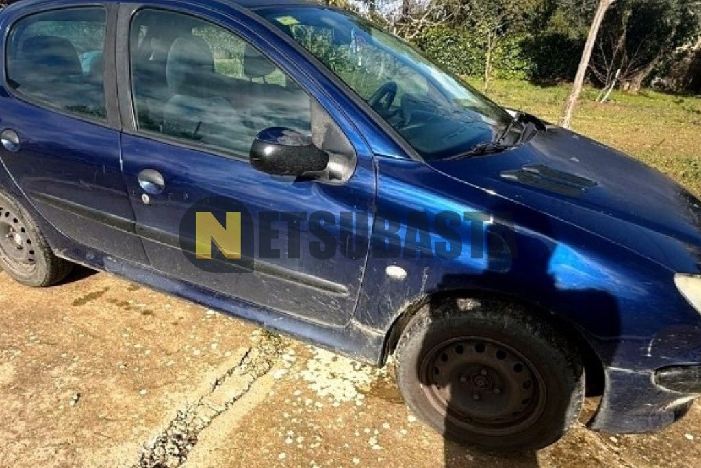 Peugeot 206 2.0 HDi 2002