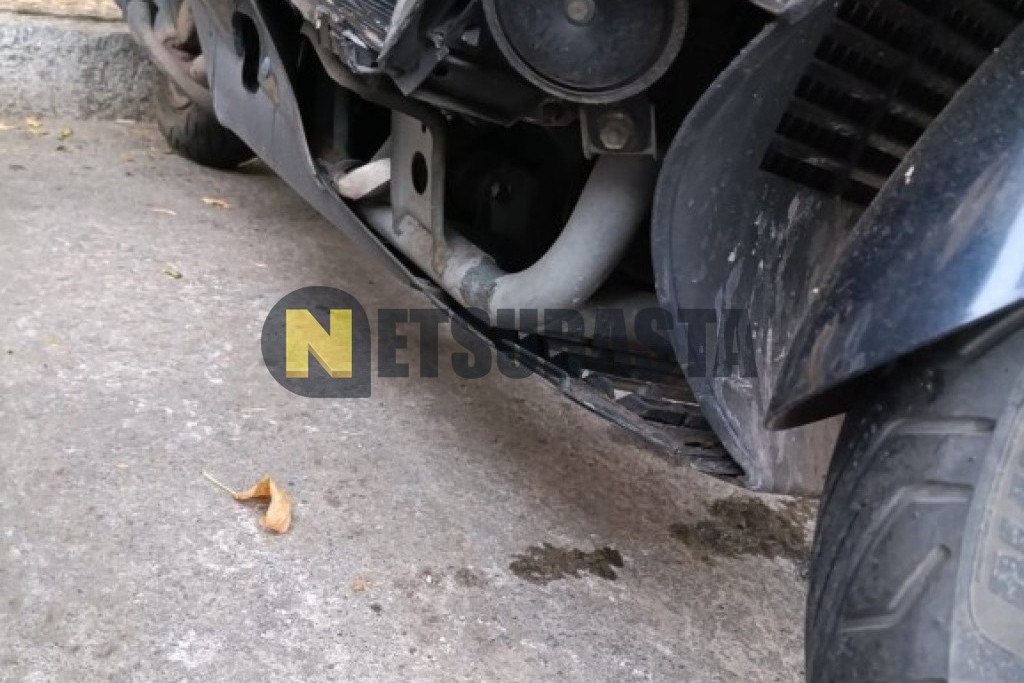 Suzuki BURGMAN 250 2004