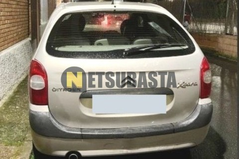 Wottan Storm-S 300 2022