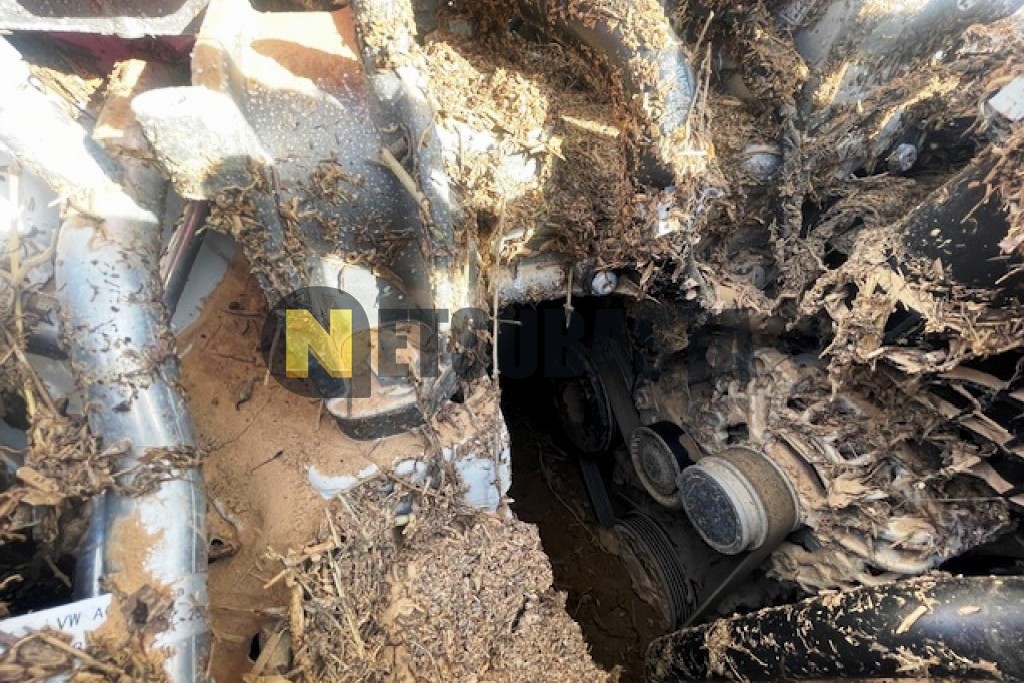 Volkswagen Polo 1.0 TSI 2024