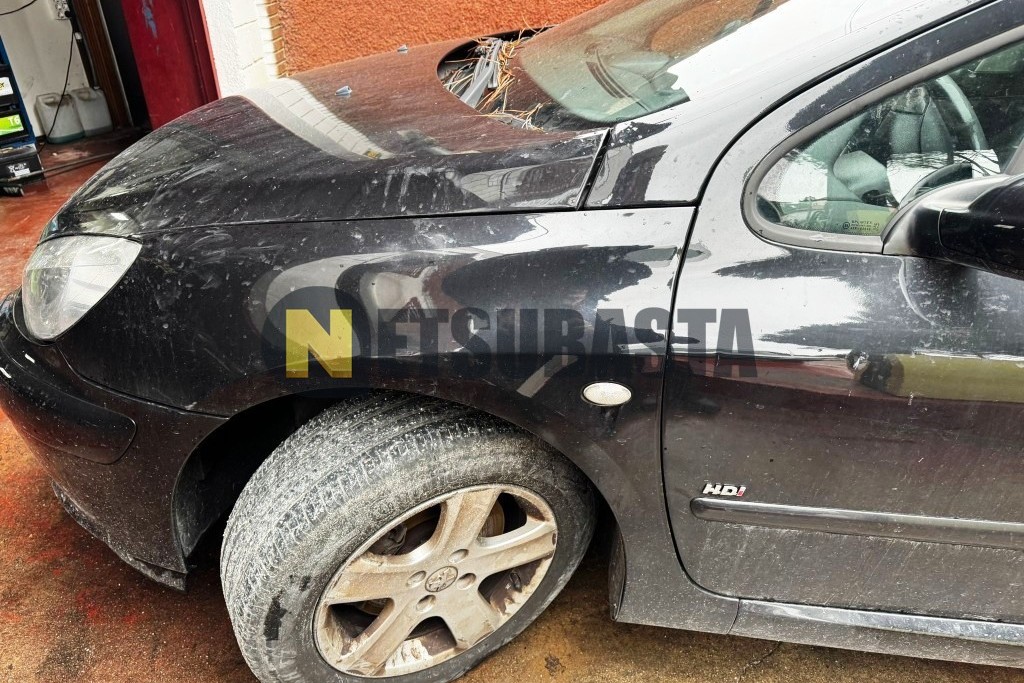 Peugeot 307 SW 2.0 HDi 2004