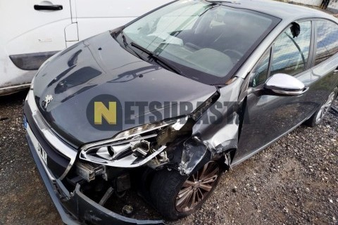 Suzuki GS 500 E 1993