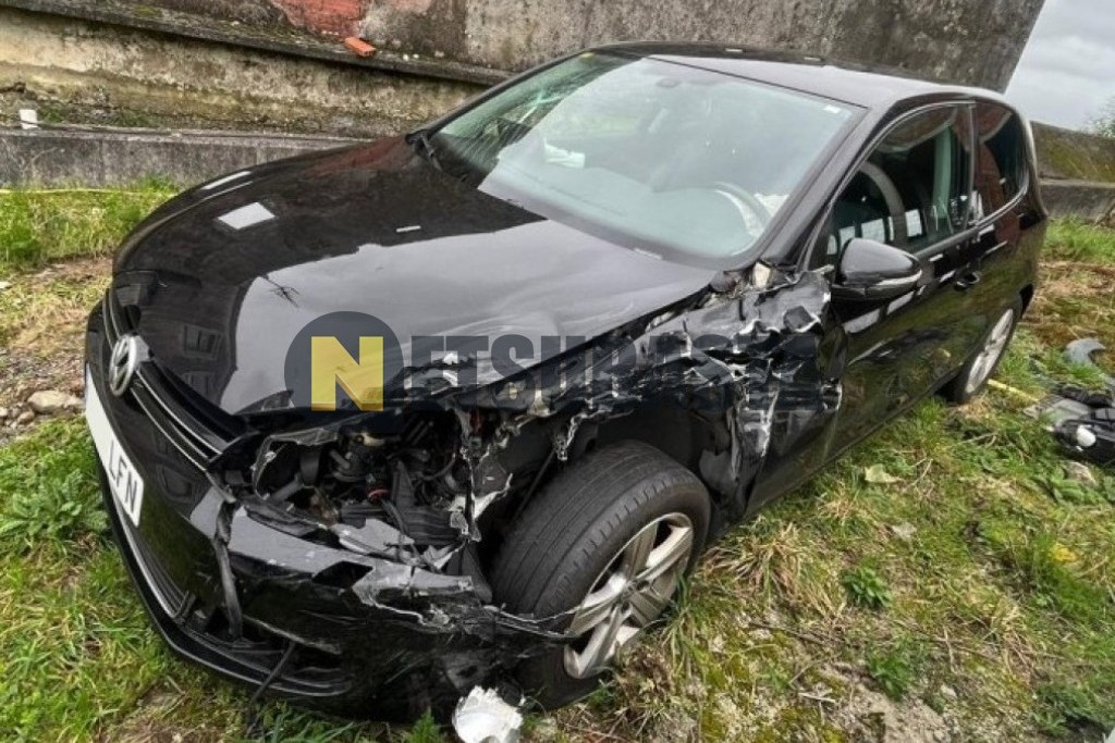 Volkswagen Golf 1.6 TDI 2011