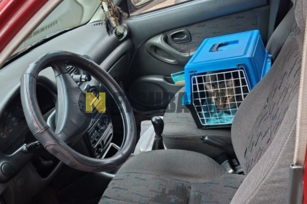 Hyundai Accent 1.5i 1997