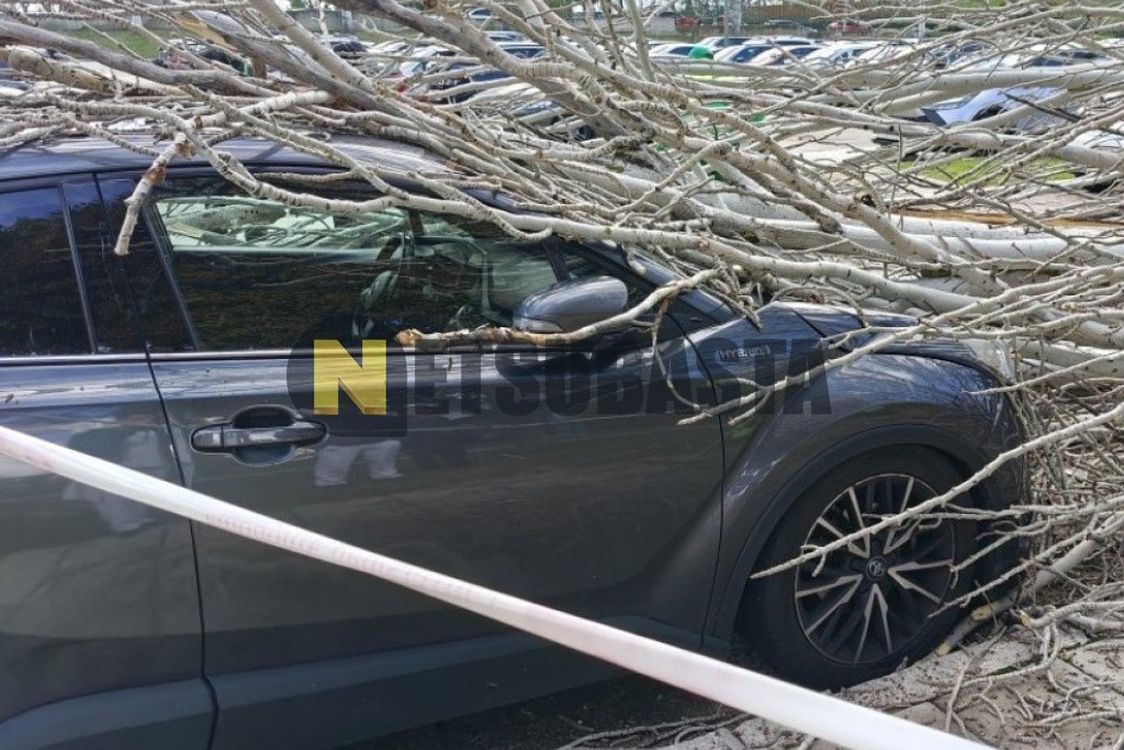 Toyota C-HR Hybrid 2017