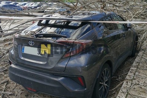 SYM Symphony 125 2014