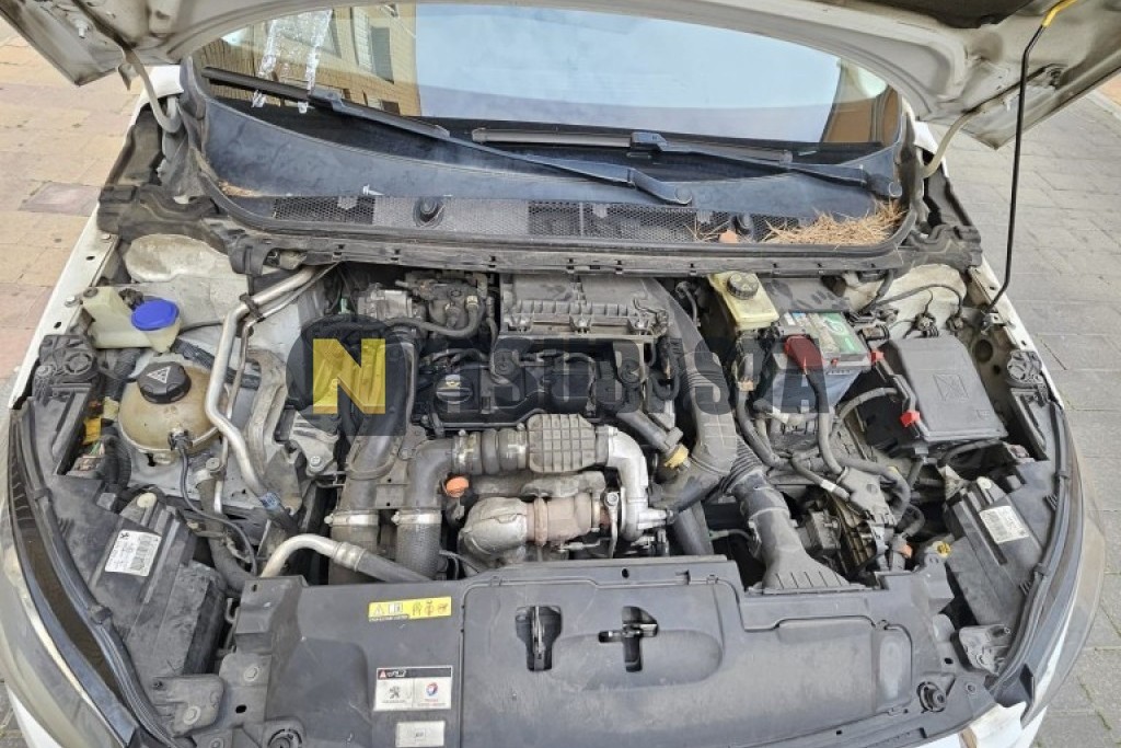 Peugeot 308 1.6 BlueHDi 2016