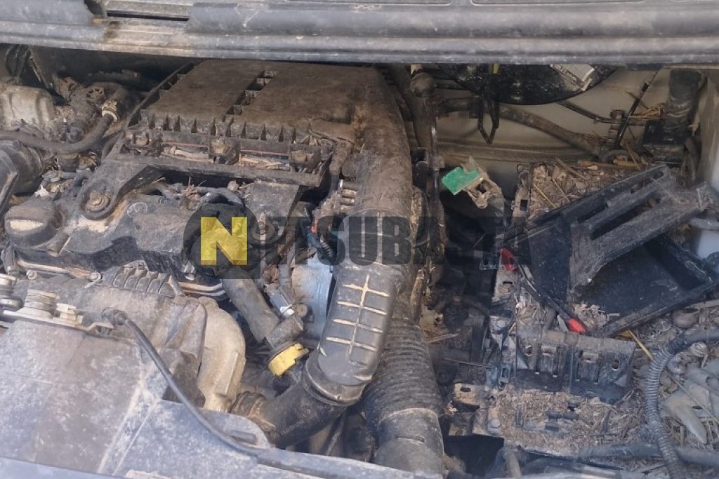 Peugeot Expert Furgón 1.6 BlueHDi 2017