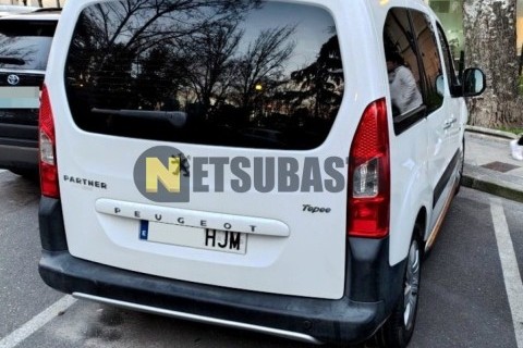 SYM JOYMAX 300i 2013