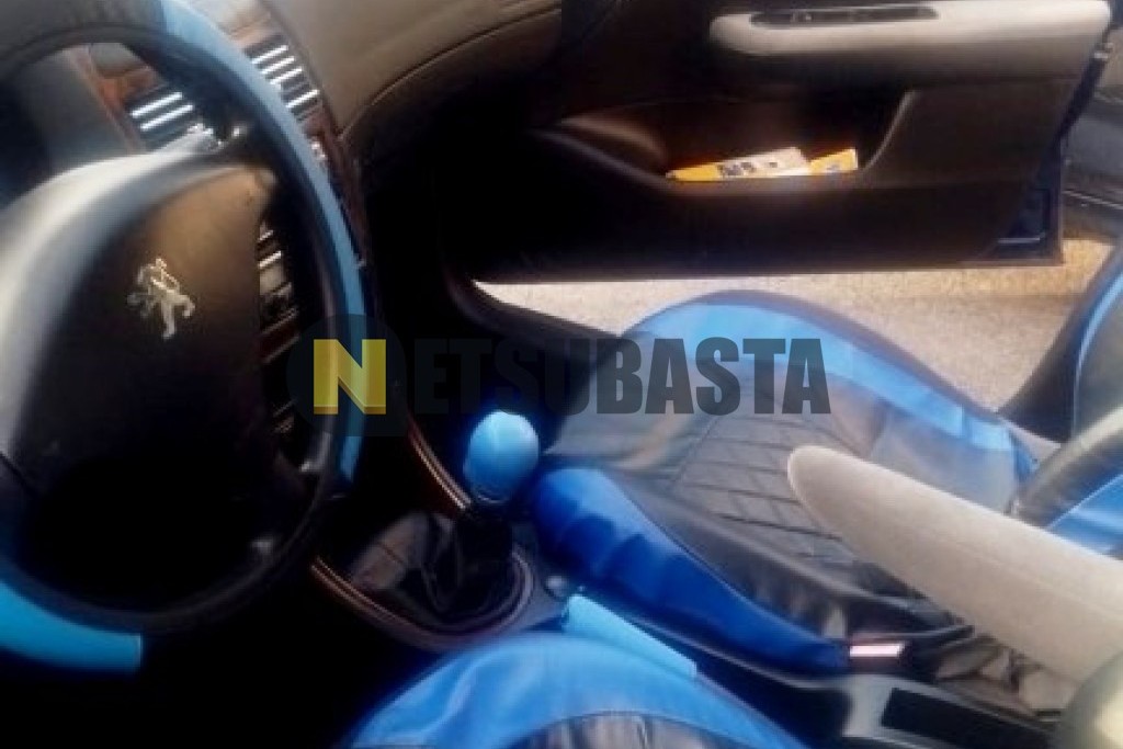 Peugeot 307 1.6 2002