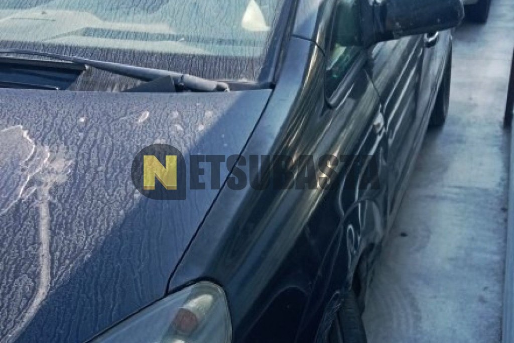 Opel Zafira 1.9 CDTI 2006