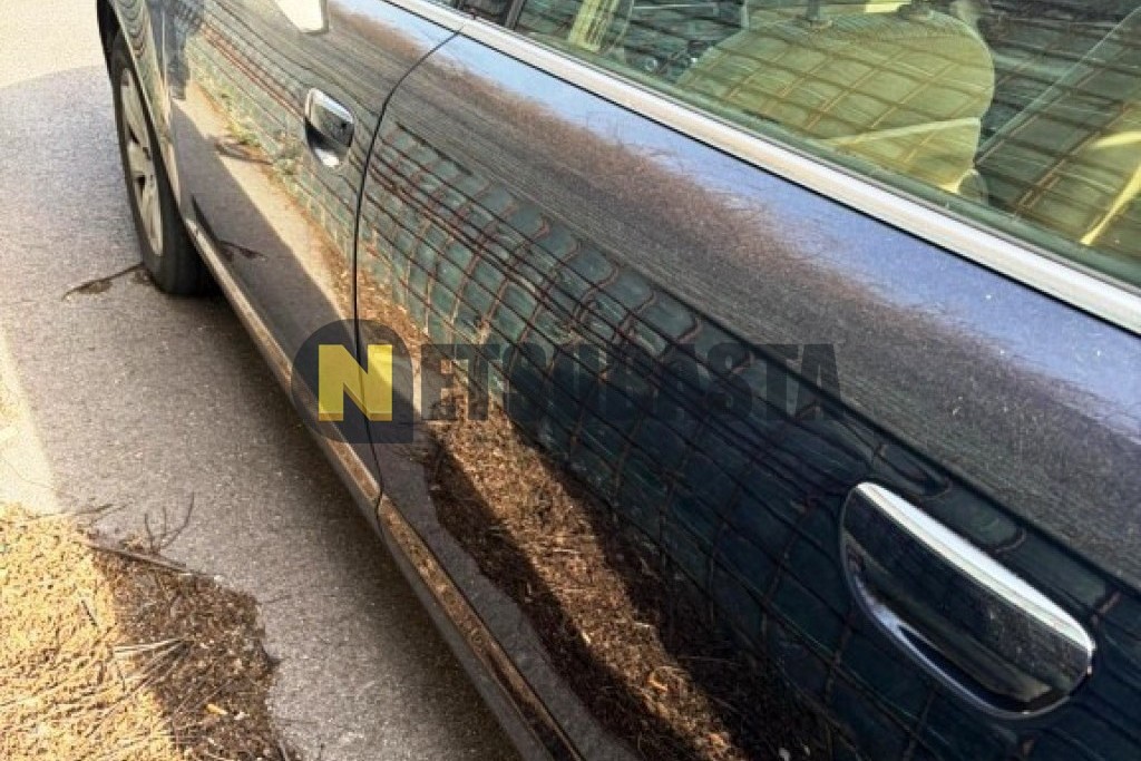 Audi A6 2.4 multitronic 7 vel. 2006